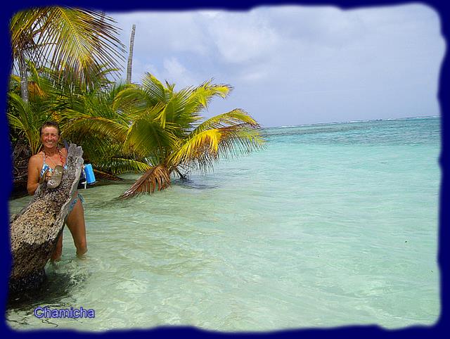 Cliquez pour agrandir l'image