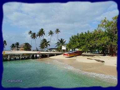 Cliquez pour agrandir l'image