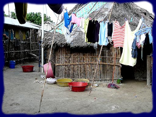 Cliquez pour agrandir l'image