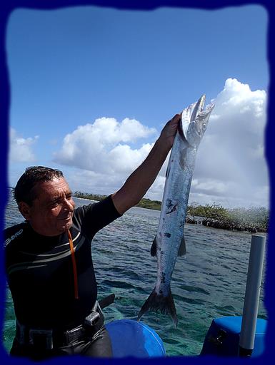 Cliquez pour agrandir l'image