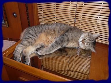 Cliquez pour agrandir l'image