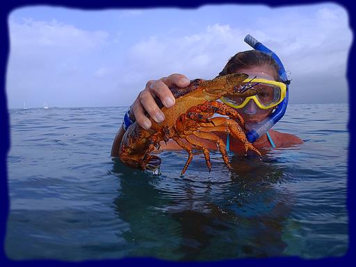 Cliquez pour agrandir l'image