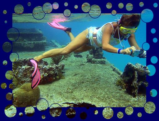 Cliquez pour agrandir l'image