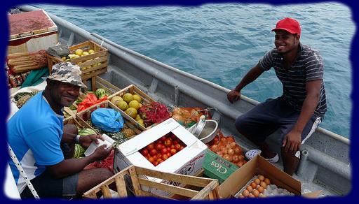 Cliquez pour agrandir l'image