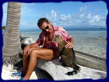 Cliquez pour agrandir l'image