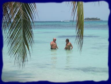 Cliquez pour agrandir l'image