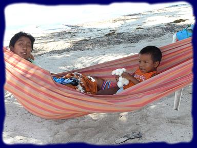 Cliquez pour agrandir l'image