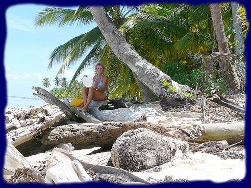 Cliquez pour agrandir l'image