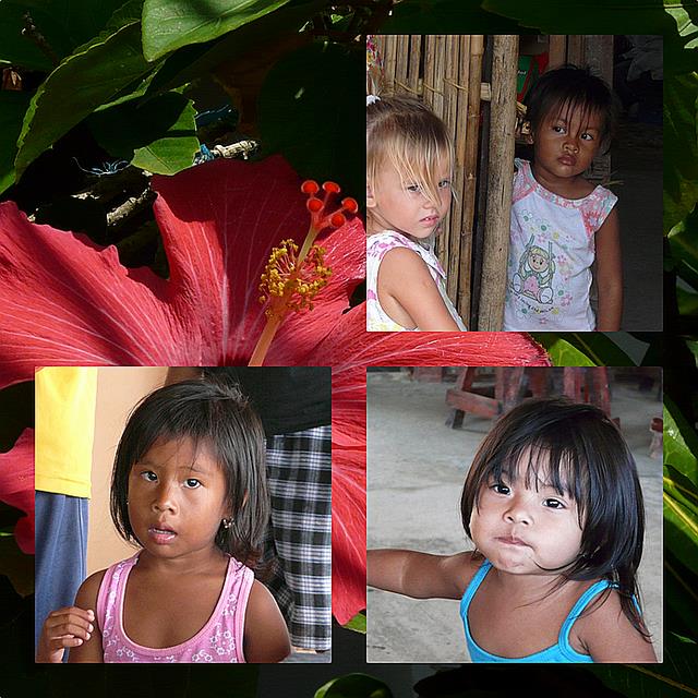 Cliquez pour agrandir l'image