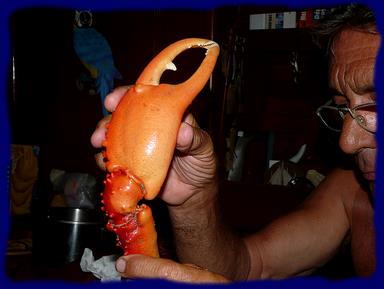 Cliquez pour agrandir l'image