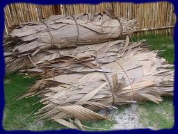 Cliquez pour agrandir l'image