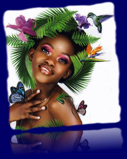 Cliquez pour agrandir l'image