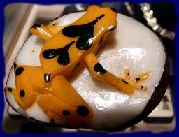 Cliquez pour agrandir l'image