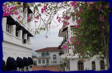 Cliquez pour agrandir l'image