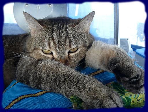 Cliquez pour agrandir l'image