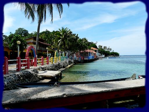 Cliquez pour agrandir l'image