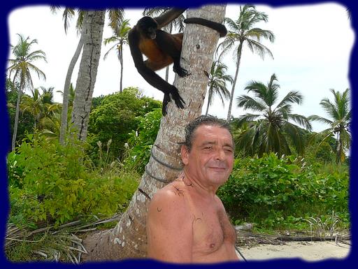 Cliquez pour agrandir l'image