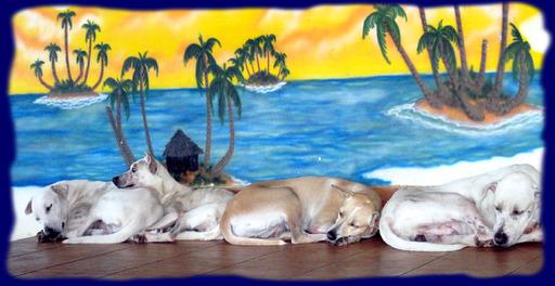 Cliquez pour agrandir l'image