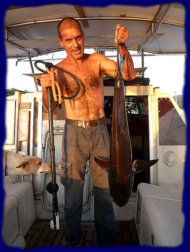 Cliquez pour agrandir l'image