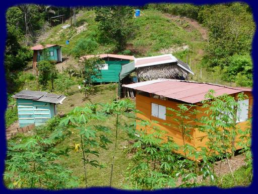 Cliquez pour agrandir l'image