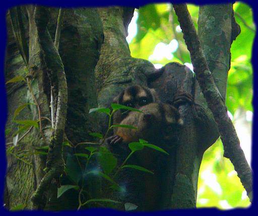 Cliquez pour agrandir l'image