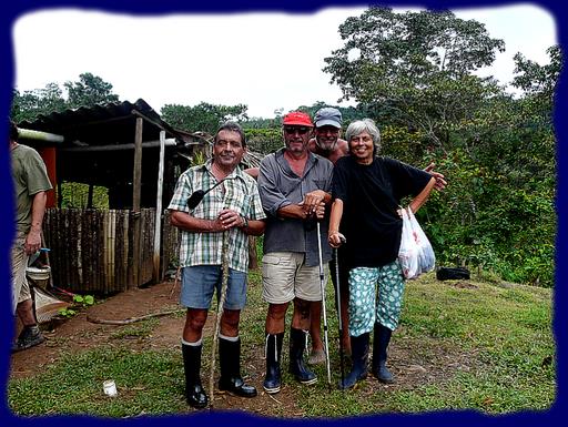 Cliquez pour agrandir l'image