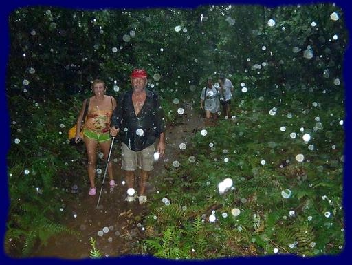 Cliquez pour agrandir l'image