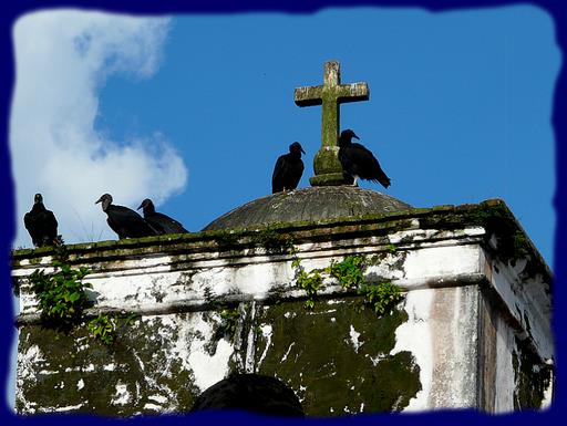 Cliquez pour agrandir l'image