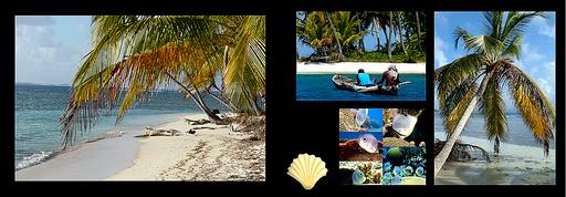 Cliquez pour agrandir l'image