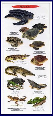 Cliquez pour agrandir l'image