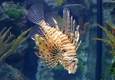 Cliquez pour agrandir l'image