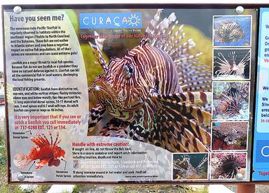 Cliquez pour agrandir l'image