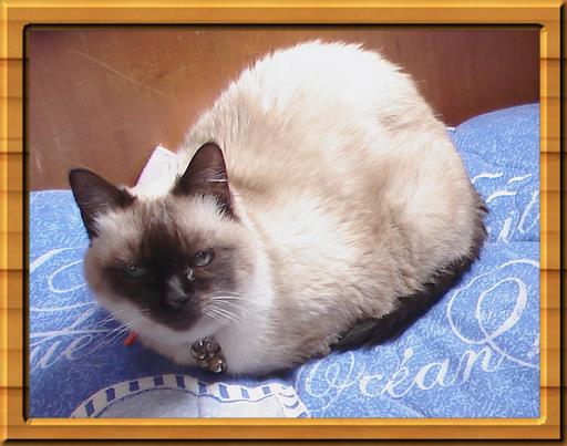 Cliquez pour agrandir l'image