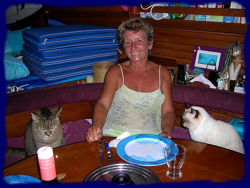 Cliquez pour agrandir l'image