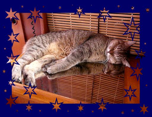 Cliquez pour agrandir l'image