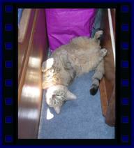 Cliquez pour agrandir l'image