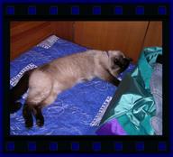 Cliquez pour agrandir l'image