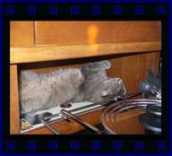 Cliquez pour agrandir l'image