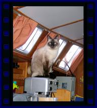 Cliquez pour agrandir l'image