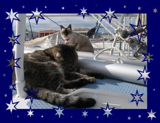 Cliquez pour agrandir l'image